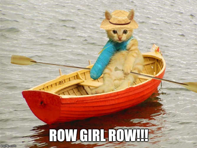 Kitty row boat Imgflip