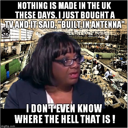 Diane Abbott What a Stella Politician ! Imgflip