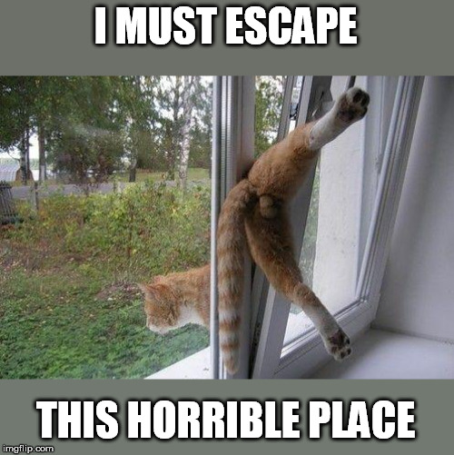 the escape artist Imgflip