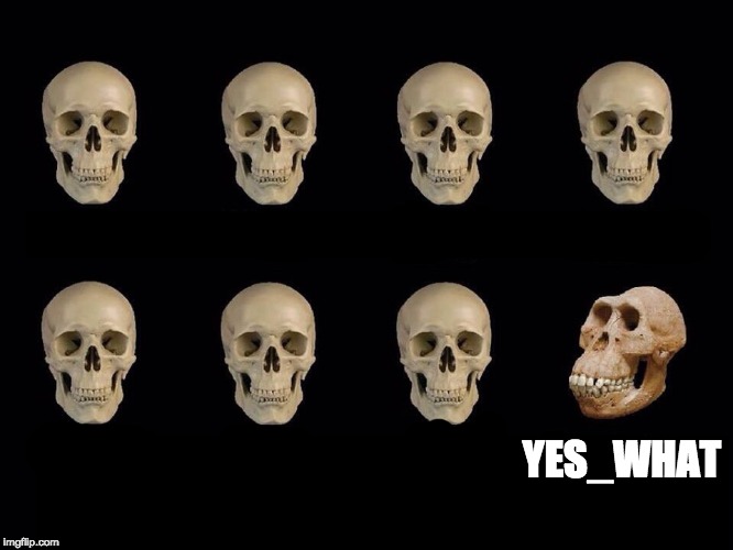 Image tagged in skulls of truth Imgflip