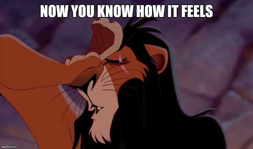 Image tagged in cats,the lion king Imgflip