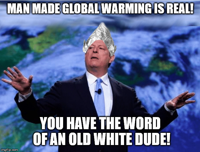 Image tagged in al gore Imgflip