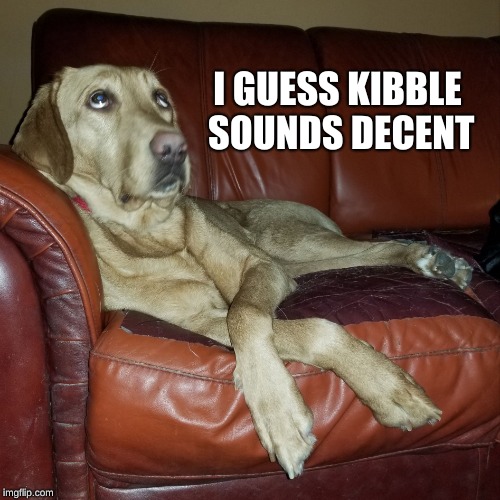 Dog Eye Roll Imgflip