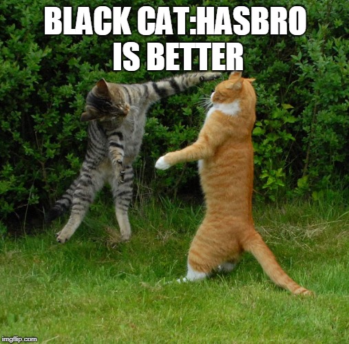 Two cats fighting Imgflip