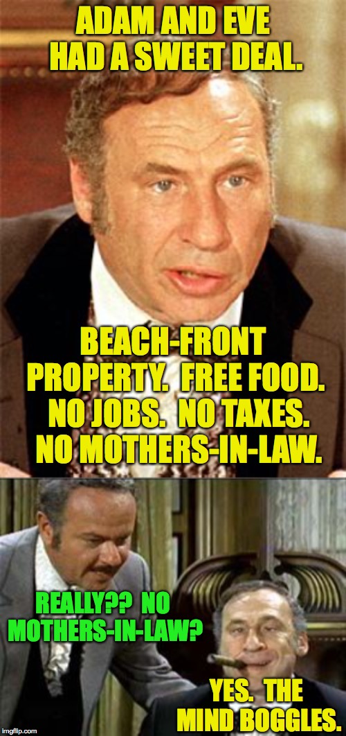 motherinlaw jokes Memes & GIFs Imgflip