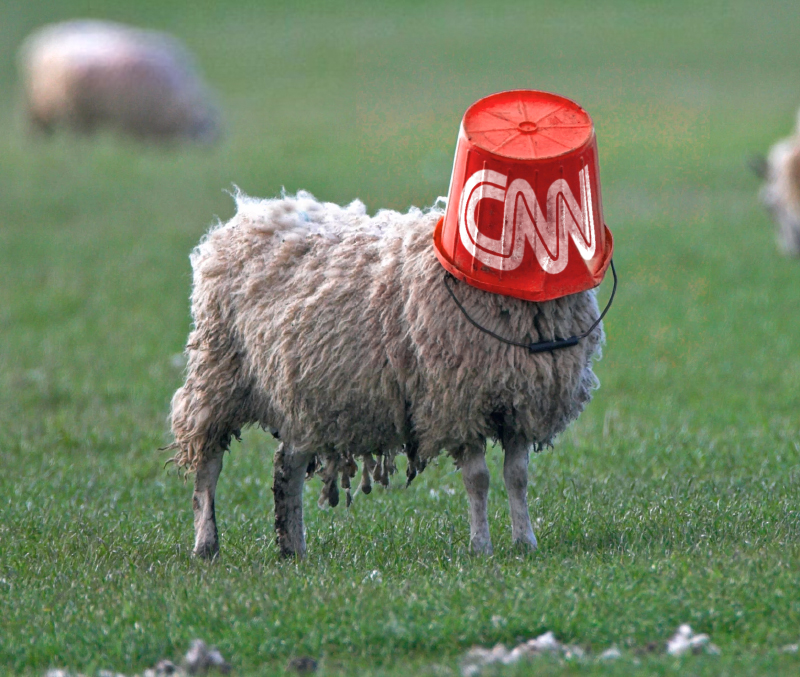 "cnn" Meme Templates Imgflip
