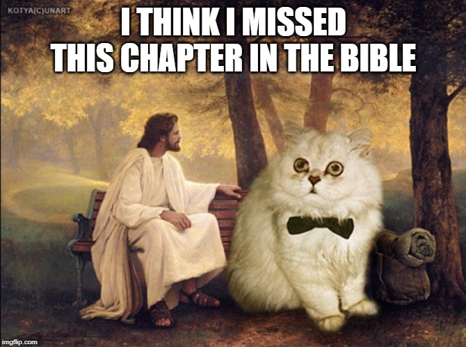 Image tagged in jesus cat Imgflip