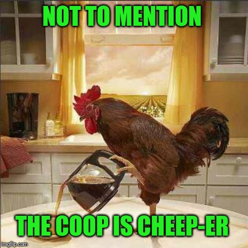 Chicken Coop Meme