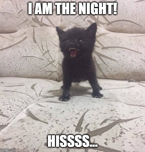 I am the night! Imgflip