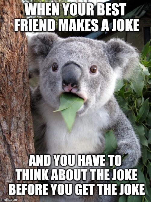 Surprised Koala Meme Imgflip
