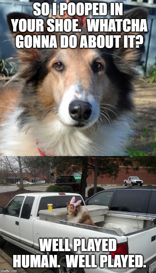 Just for fun Imgflip