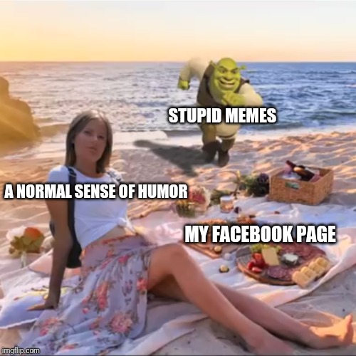 Image tagged in stupid meme Imgflip