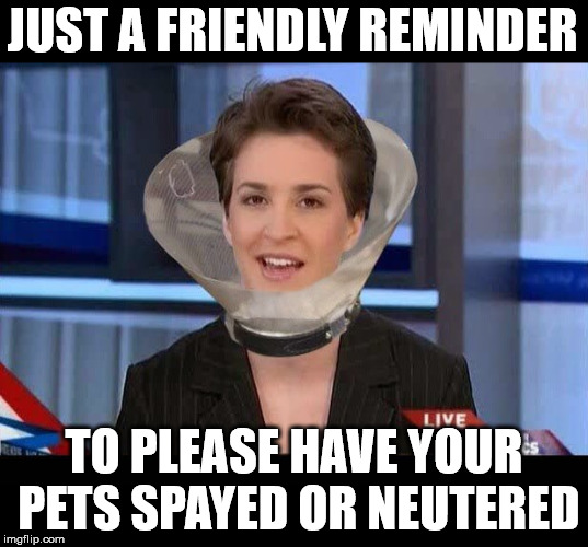 Public Service Announcement Imgflip