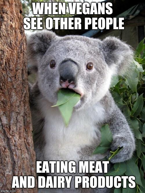 Eat Koala Meat at Lewis Lund blog