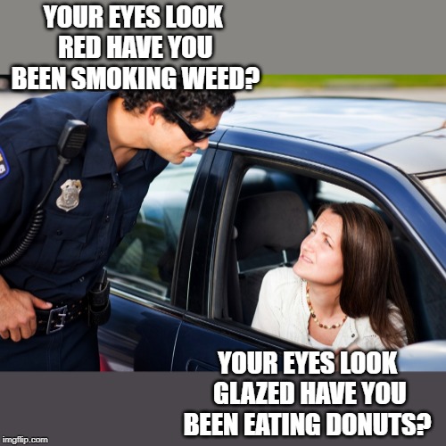 what you should not say to a cop Imgflip