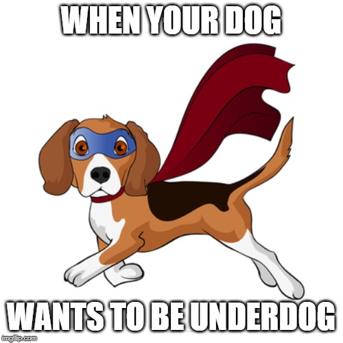 when your dog wants to be in undertale Imgflip