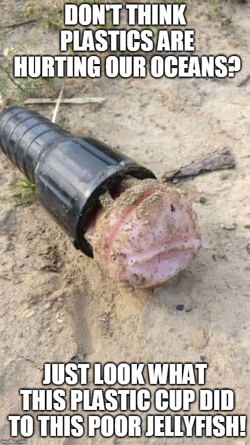 Open Your Eyes! Imgflip