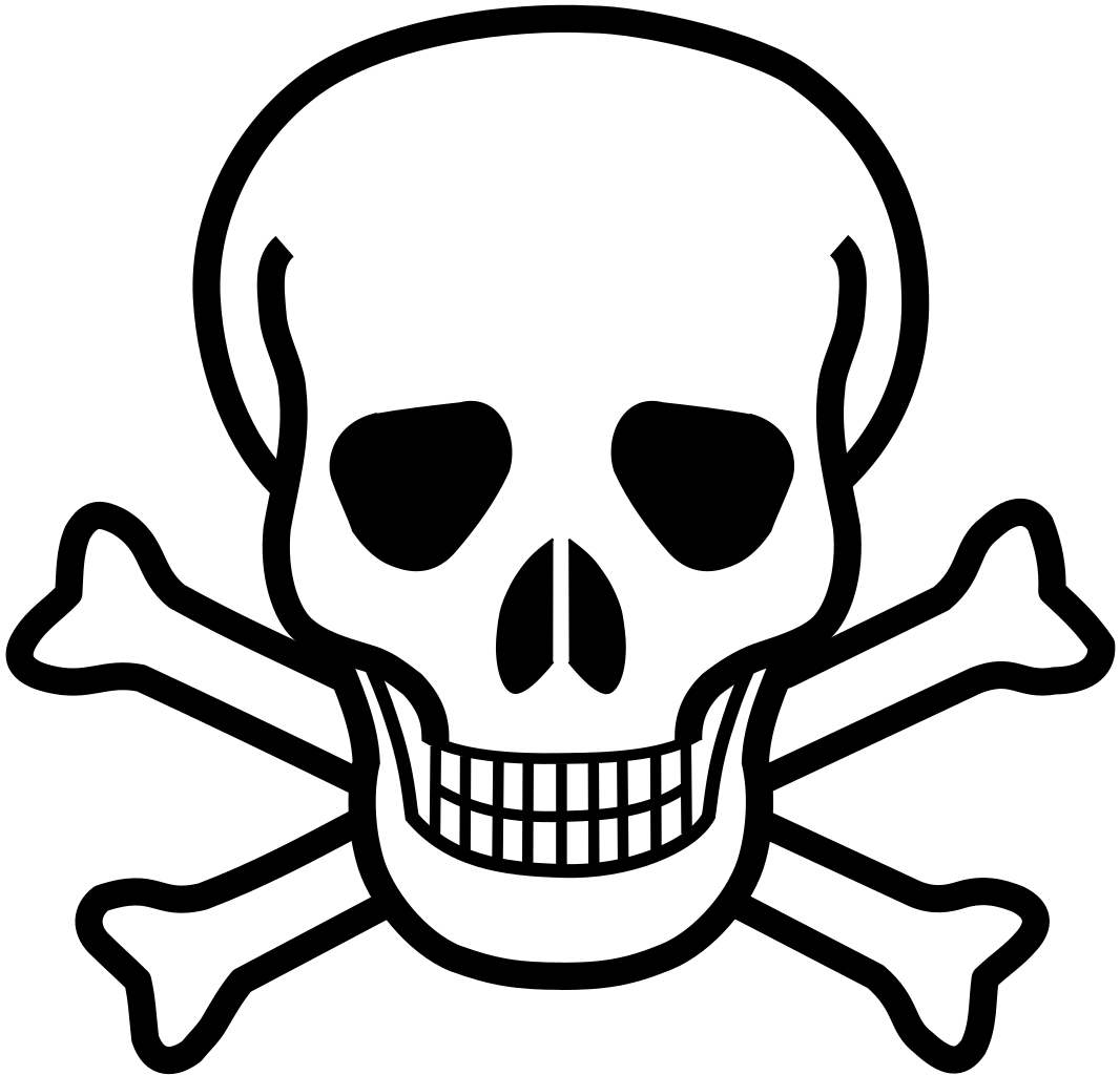 Skull and crossbones Memes Imgflip