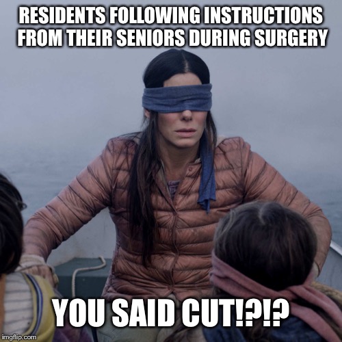 Bird Box Meme Imgflip