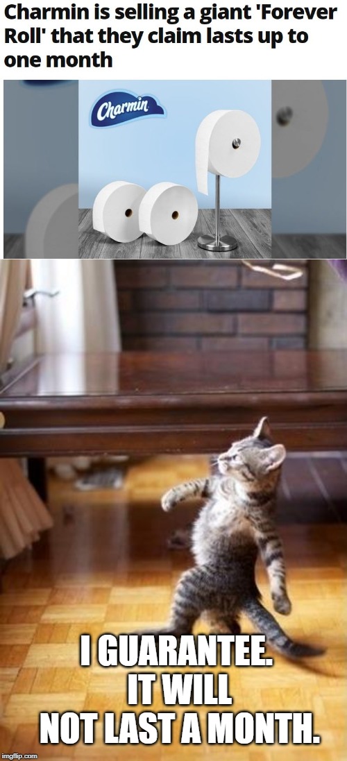 charmin Memes & GIFs Imgflip