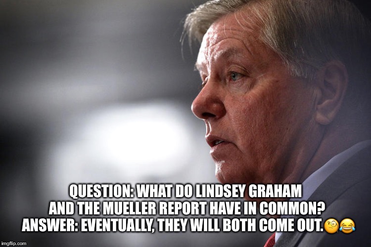 politics lindsey graham Memes & GIFs Imgflip