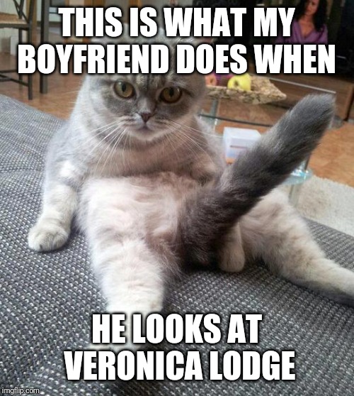 Sexy Cat Meme Imgflip