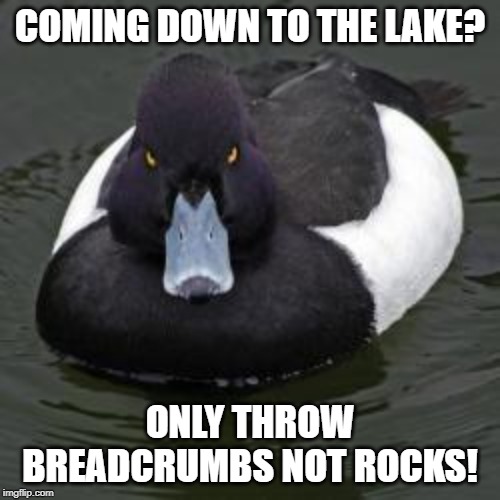 Angry Advice Mallard Imgflip