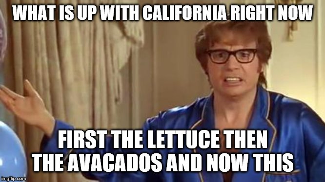 Image tagged in memes,that would be great Imgflip
