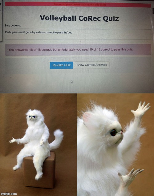 Image tagged in memes,persian cat room guardian Imgflip