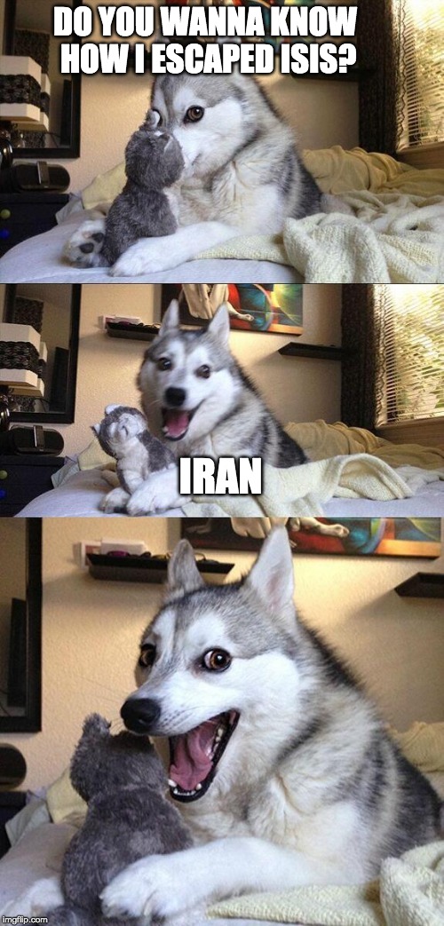 fight of flight? Imgflip