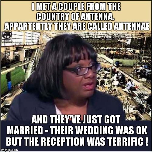Diane Abbott and Antennae Imgflip
