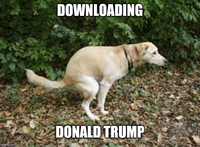 Attention Yellow Background Imgflip