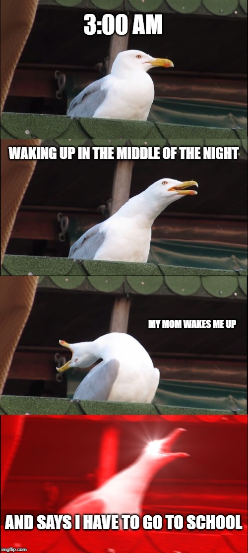 waking up cycle Imgflip