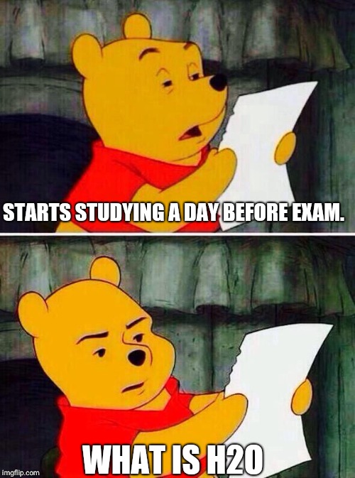 Winnie The Pooh Parents Reading Meme Rumaisa Peck