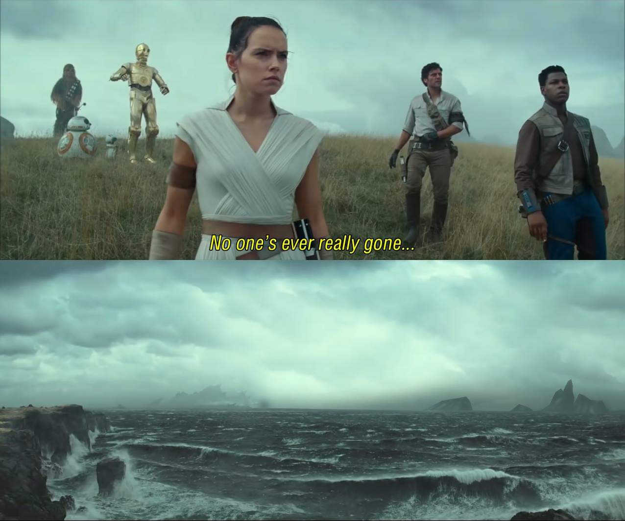 No One Asked Meme Template