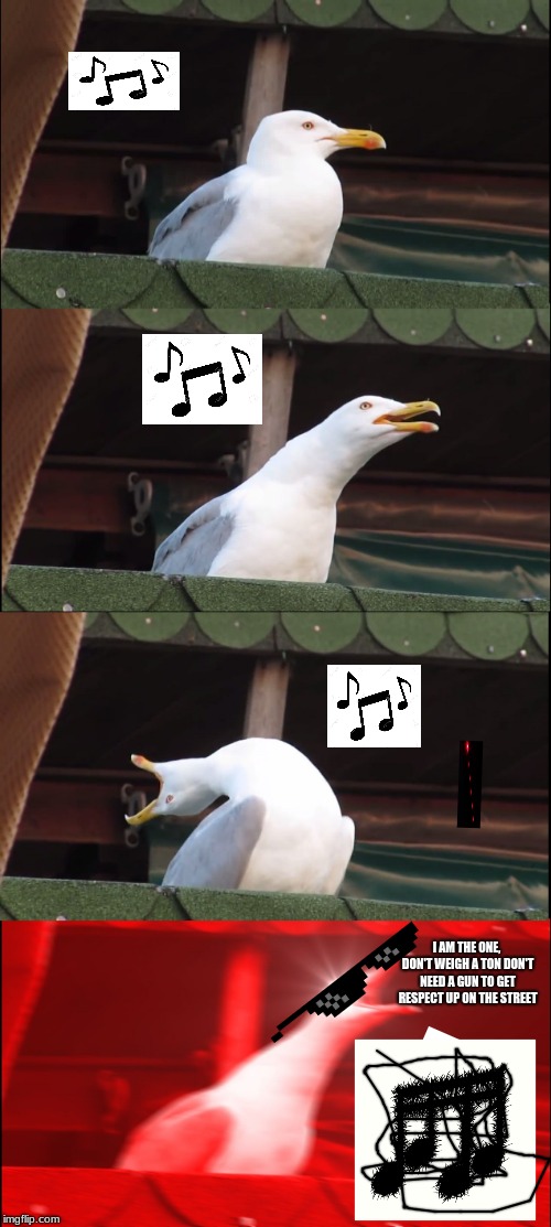 Inhaling Seagull Meme Imgflip