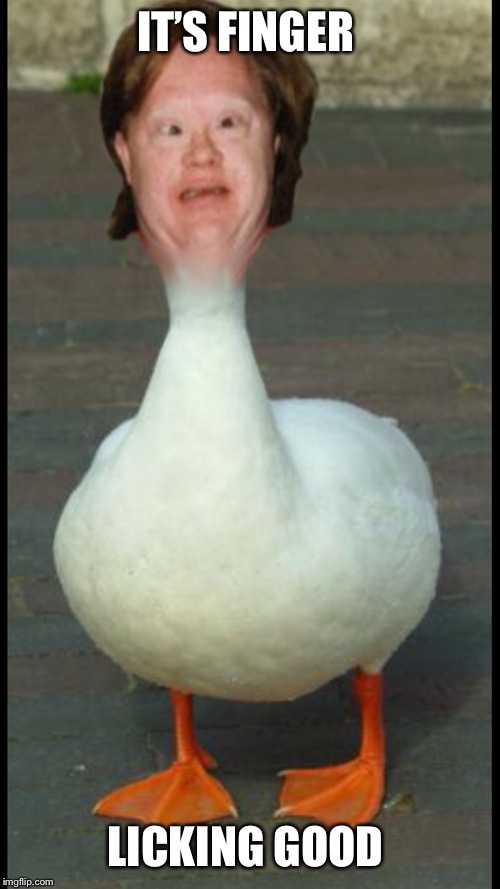 Image tagged in memes Imgflip