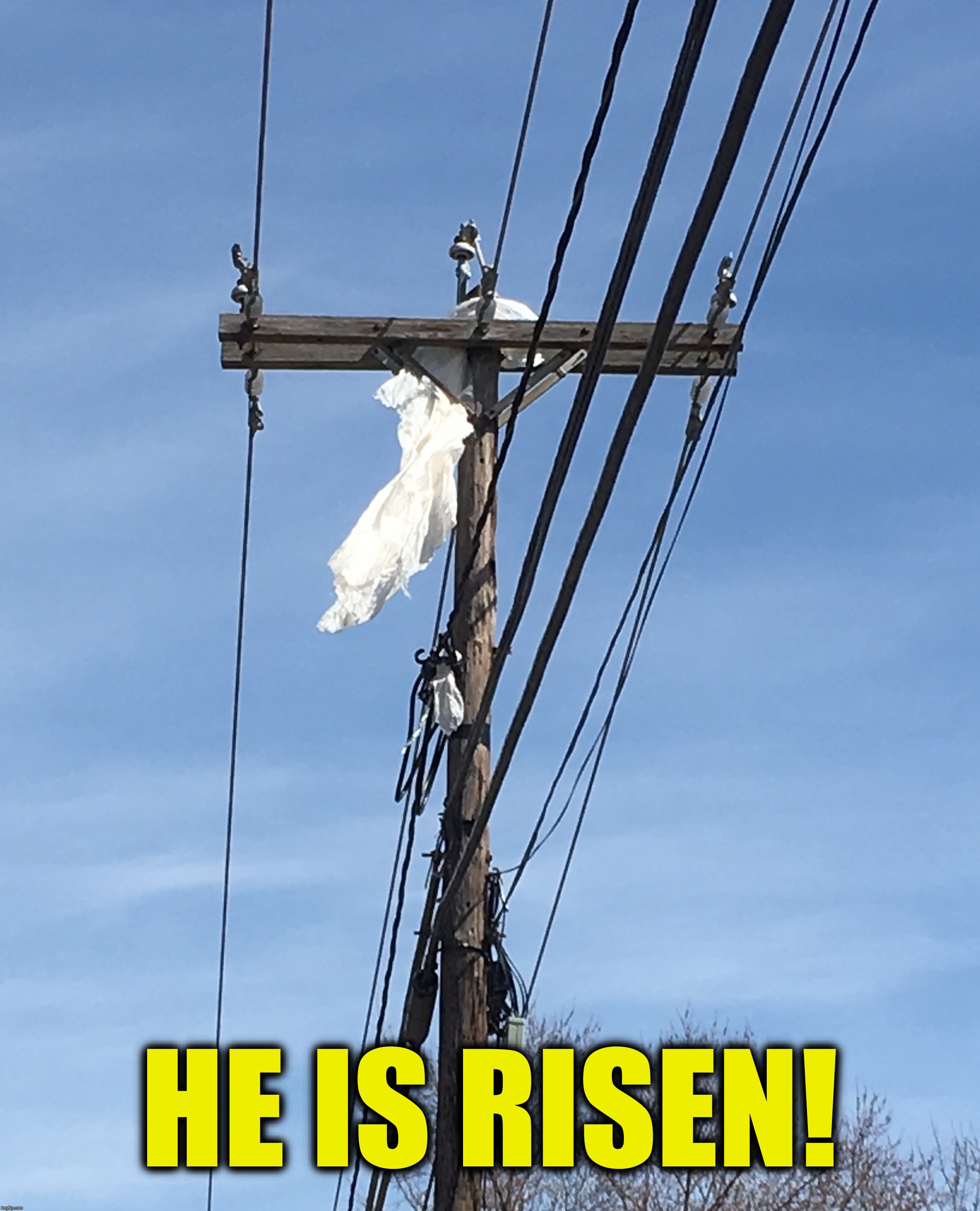 telephone pole Memes & GIFs Imgflip