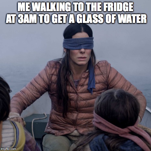 Bird Box Meme Imgflip