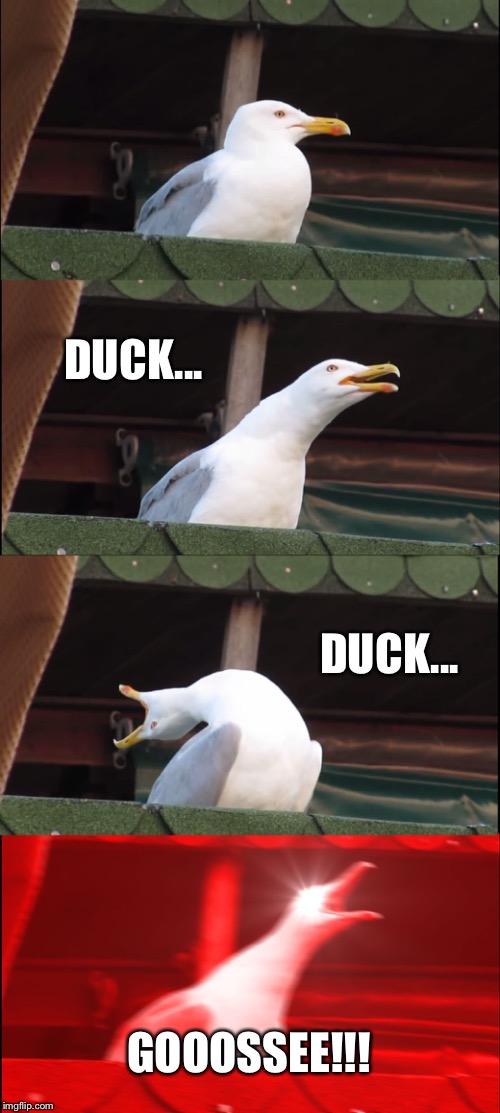 Playing an old game Imgflip