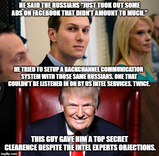 Meet Jared Kushner Imgflip