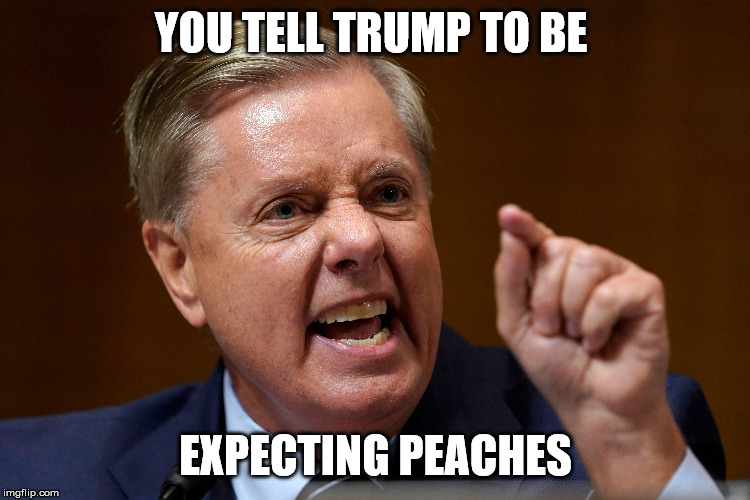 politics lindsey graham Memes & GIFs Imgflip