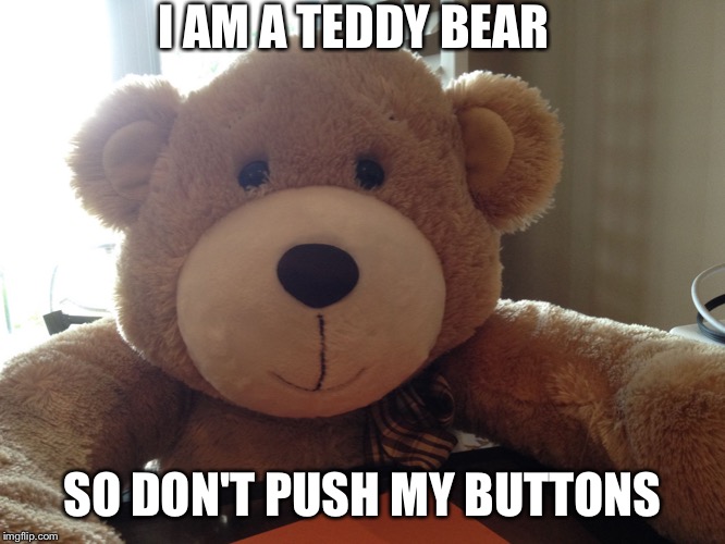 Snuggle Bear Meme