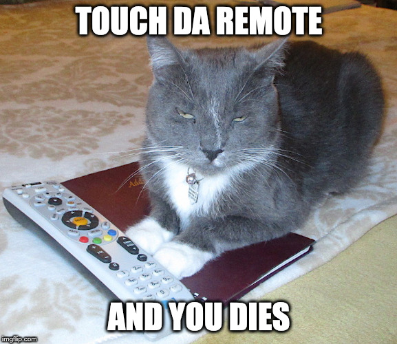 Image tagged in holly's remote Imgflip