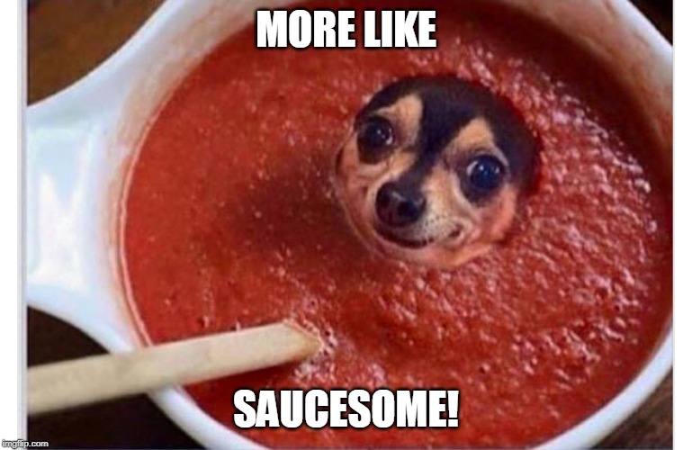 THIS DOG IS AWESOME! Imgflip