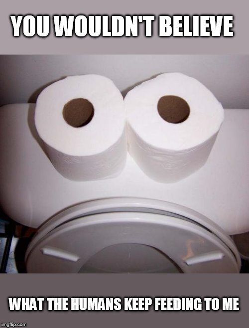 Toilet Seat Up Or Down Meme the most toilet