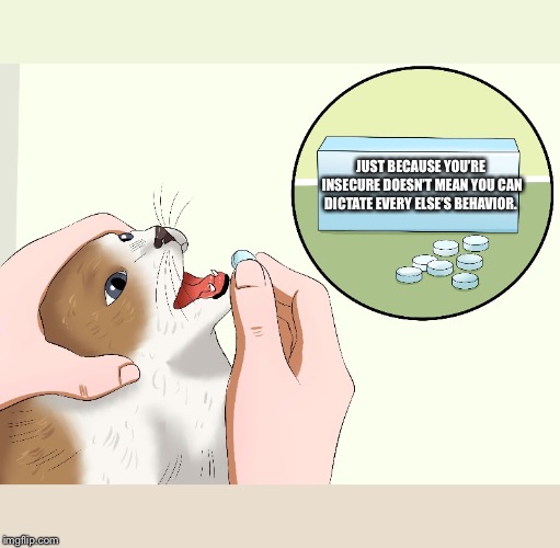 Cat Medicine Imgflip