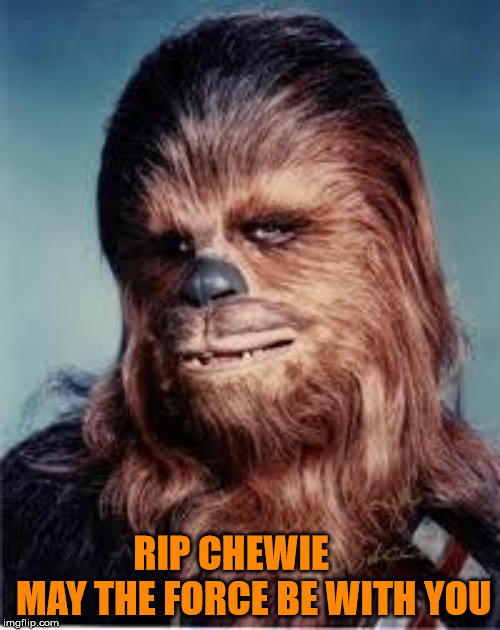 chewbacca Memes Imgflip
