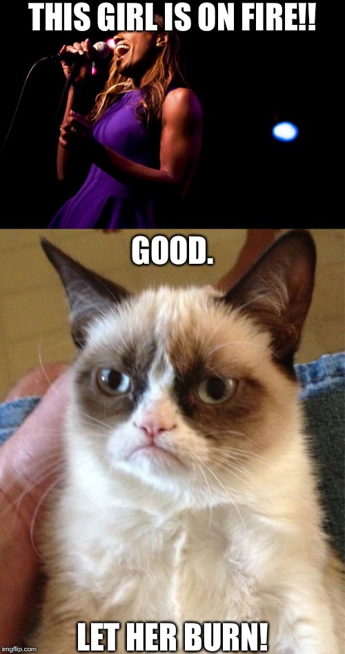 Image tagged in memes,grumpy cat Imgflip