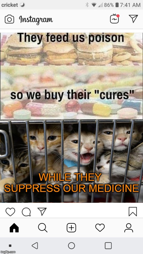 Let your medicine be cats and cats be your medicine. Imgflip